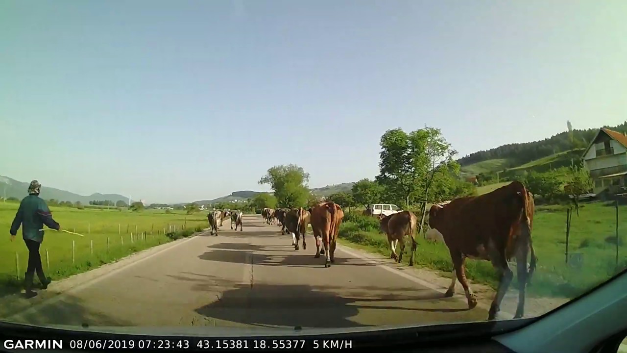 DRIVE #564: Trebinje-Bileća-Gacko (Bosnia and Herzegovina) (timelapse 4x) *Read Description*