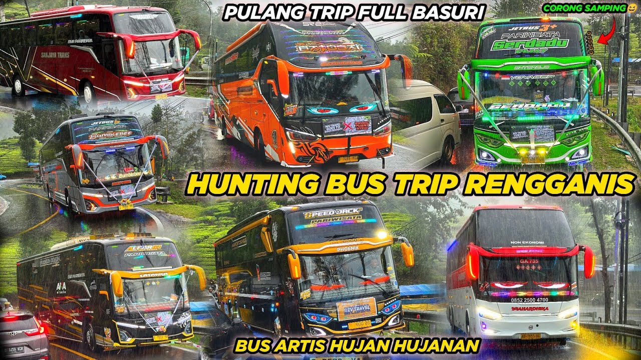 FULL TELOLET BASURI🤠 hunting bus trip Rengganis di Kebun Teh Rancabali‼️ Kawasan wajib basuri🤯
