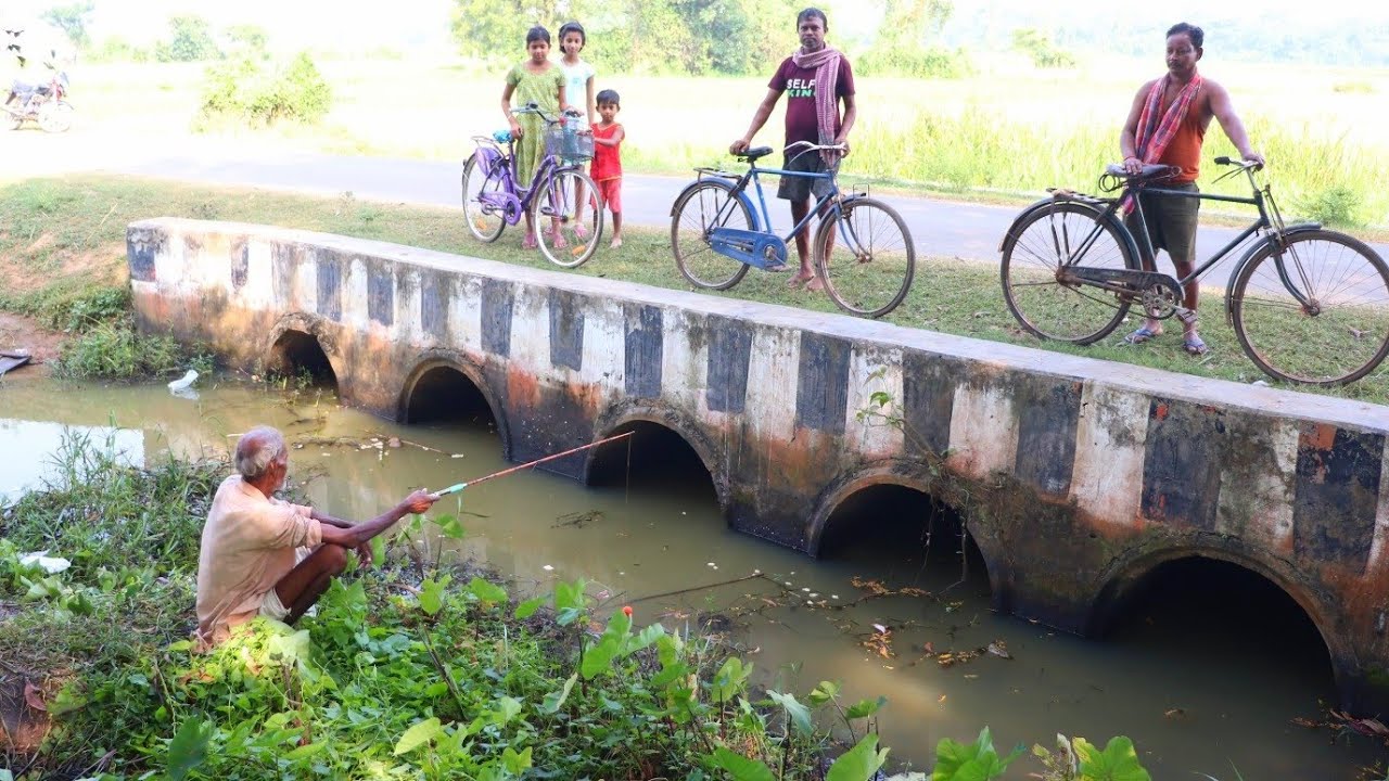 Fishing Video || Grandpa is fishing with a hook in the water supply canal || Best hook fishing