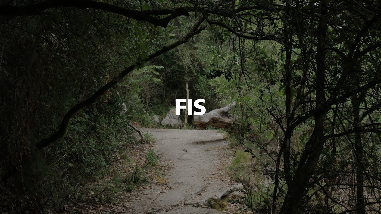 Mfly Music - Fis // MFLY INSTRUMENTALS
