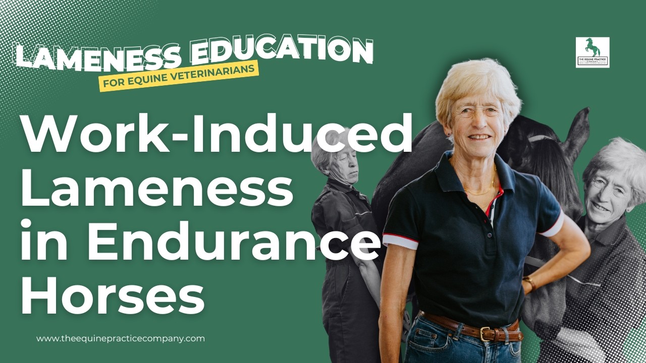 Work-Induced Lameness in Endurance Horses: What Vets Must Know