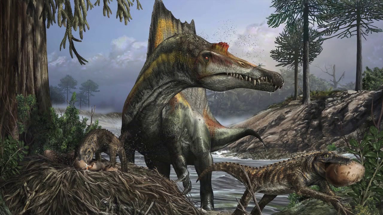 Nizar Ibrahim, Ph.D. – Paleontology, Discovering Large Dinosaur Bones in Africa
