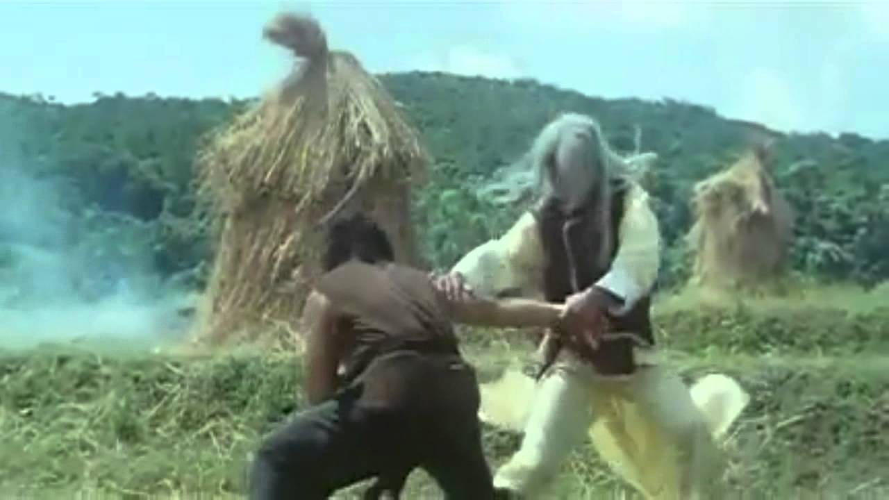 King Of Kung Fu Presents - Hwang Jang Lee - Tribute