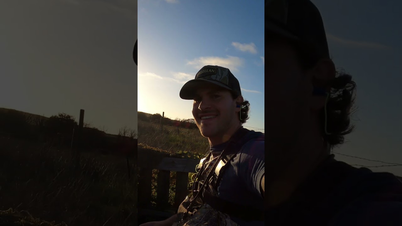 Beautiful sunny evening Hunts 