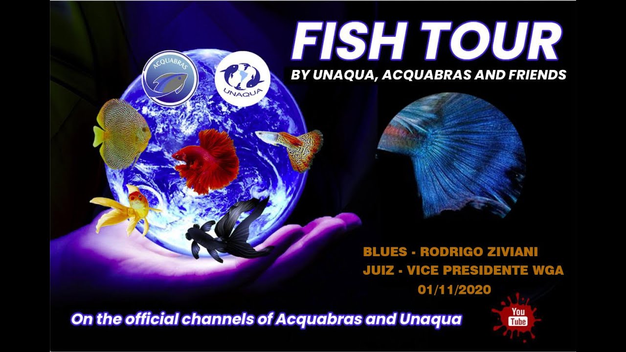 Fish Tour #43 - Linhagens Blue - Rodrigo Ziviani - Juiz e Vice-Presidente WGA