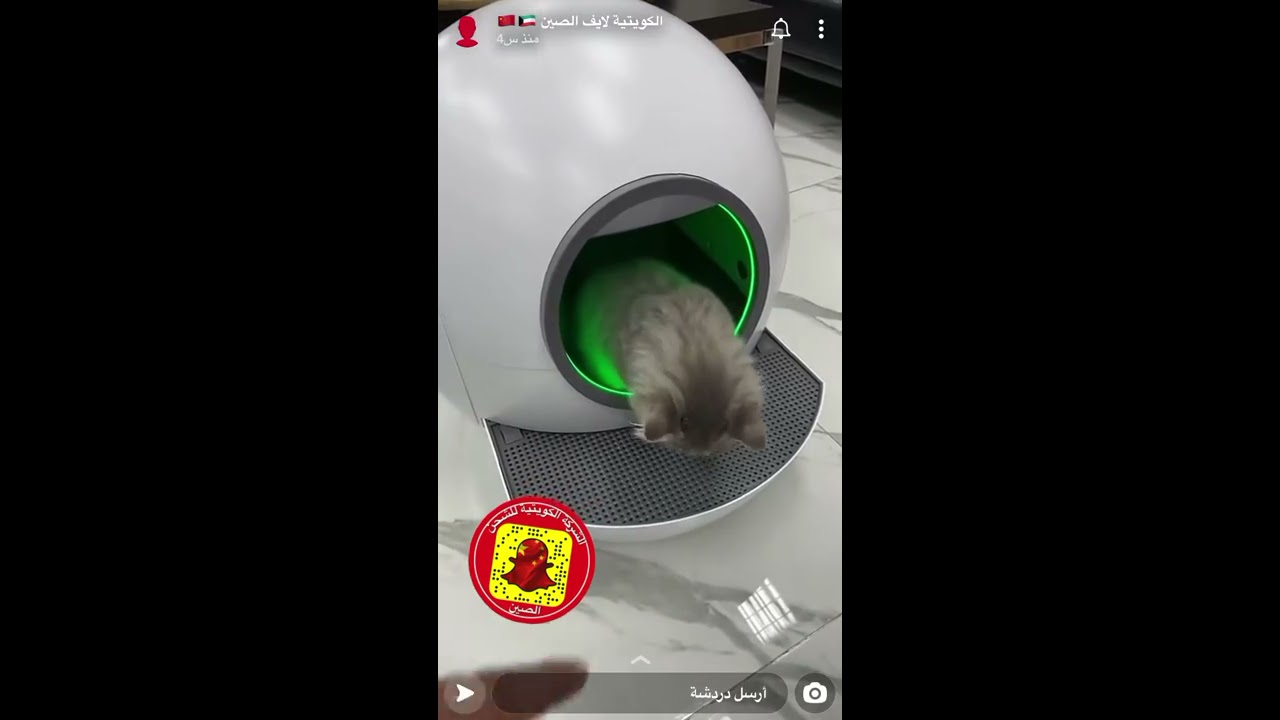 تغطية حمام القطط الذكي #كوانزو #الصين