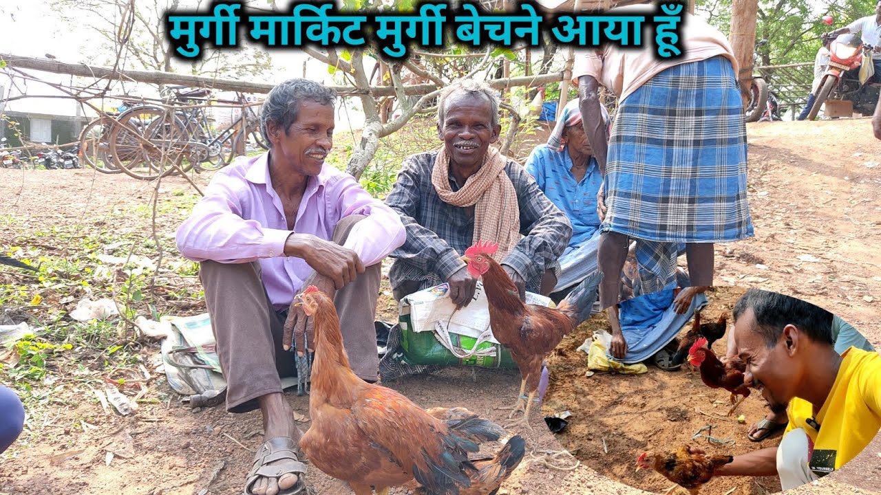 मुर्गी मार्किट मुर्गी बेचने आया हूँ | Finally New Family Member Le Aya | Jungle Lifestyle #vlog