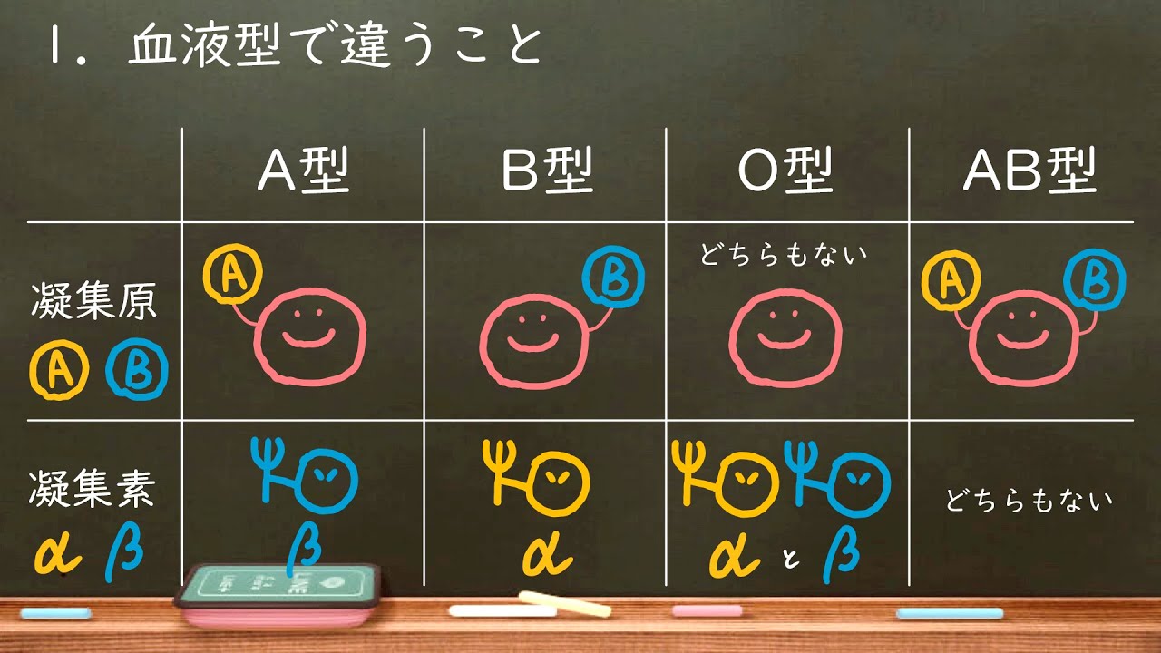 おうち生物　44. ABO式血液型 (高校生物)