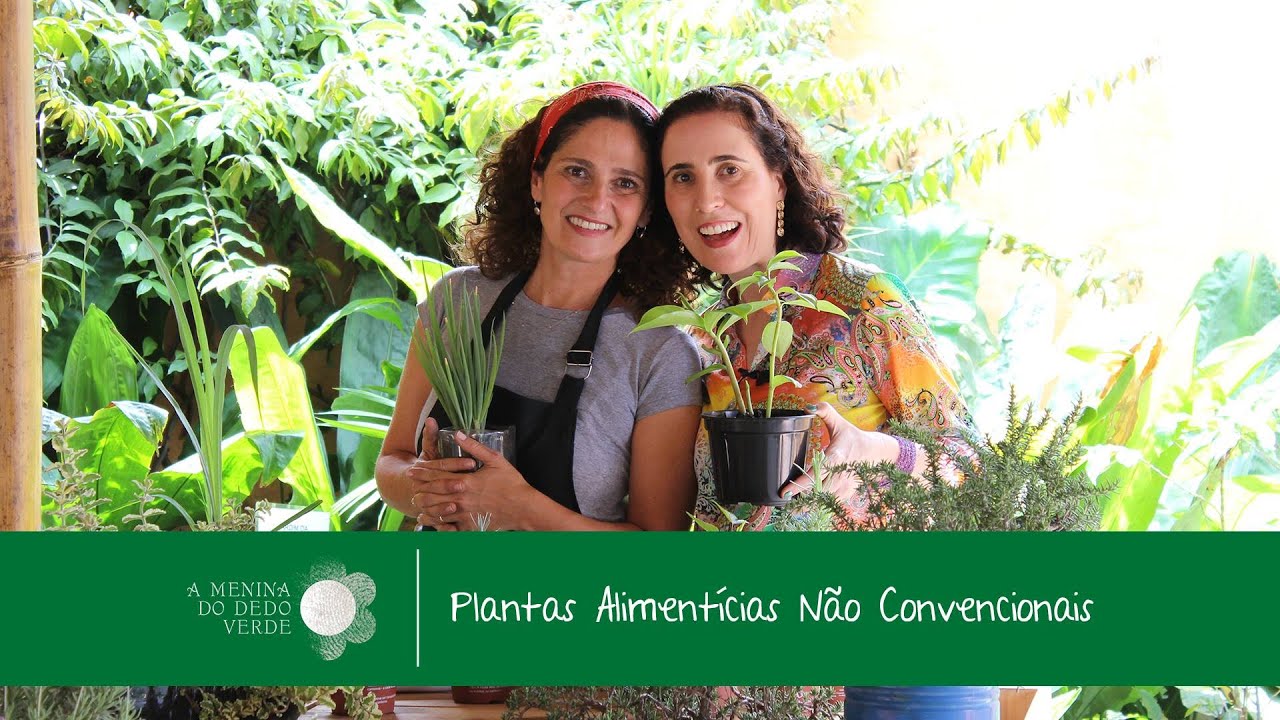 N&ocirc; Figueiredo na Sabor de Fazenda: Pancs com Silvia Jeha