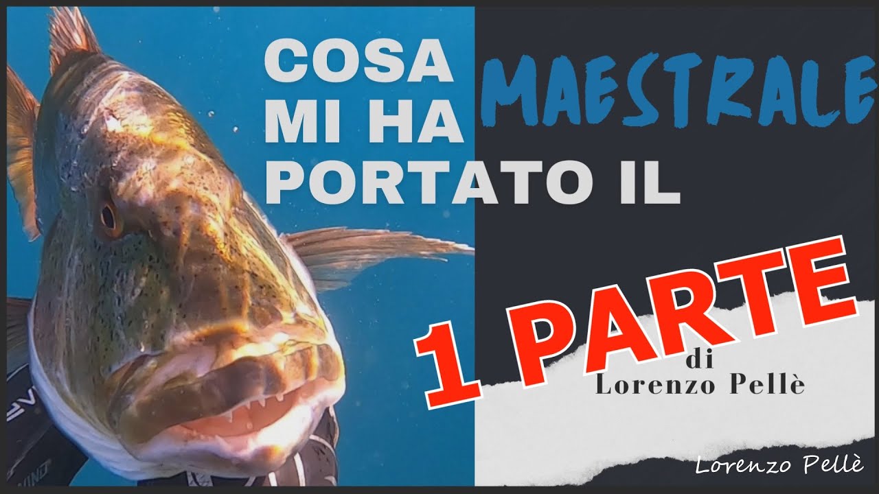 Pesca Sub Sardegna : COSA MI HA PORTATO IL MAESTRALE, all'agguato dopo la mareggiata