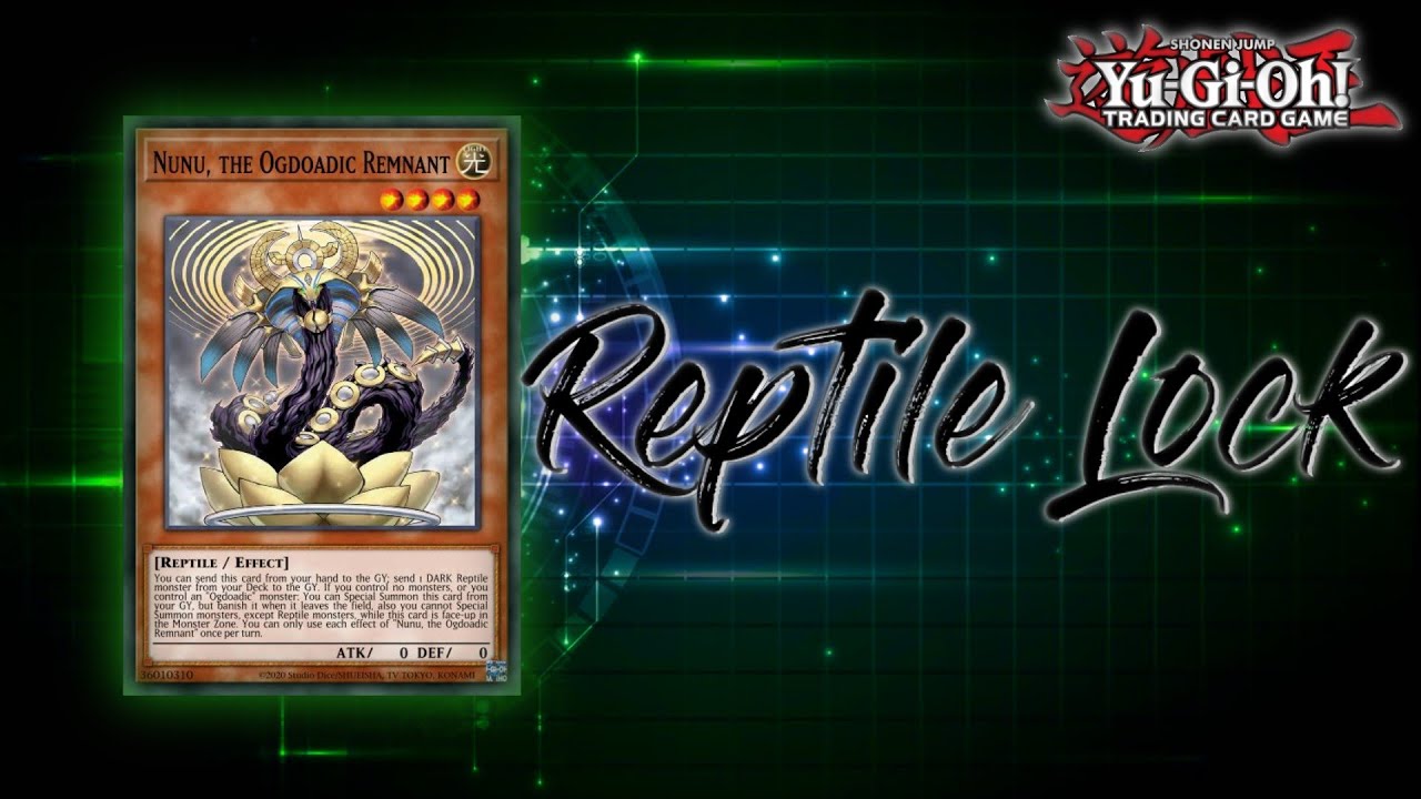 Pakli Bemutat&oacute; - Reptile Lock!