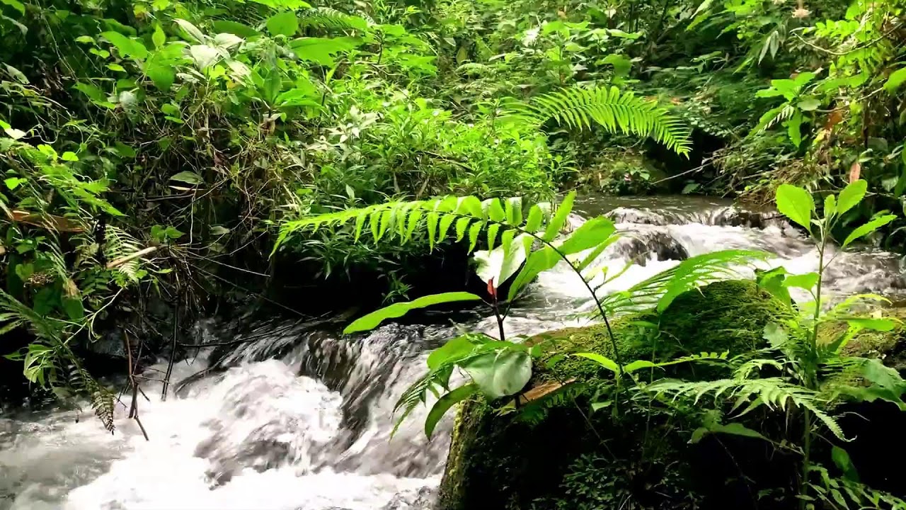 Running River for Sleeping Soundly, Peace of Mind