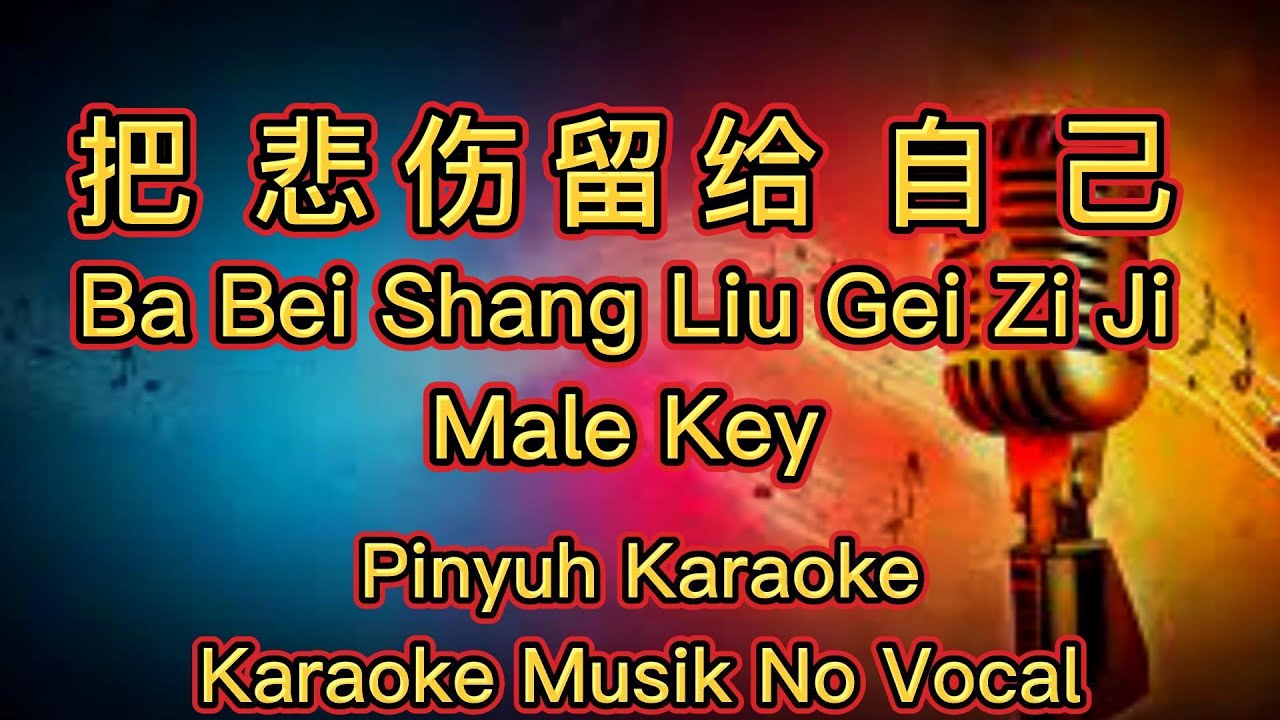 Ba Bei Shang Liu Gei Zi Ji - 把悲伤留给自己 - Karaoke - Musik No Vocal