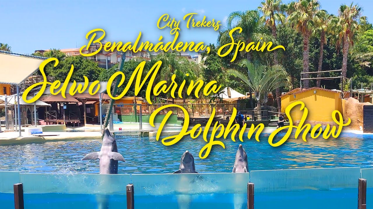 Benalmádena Selwo Marina Dolphin Show