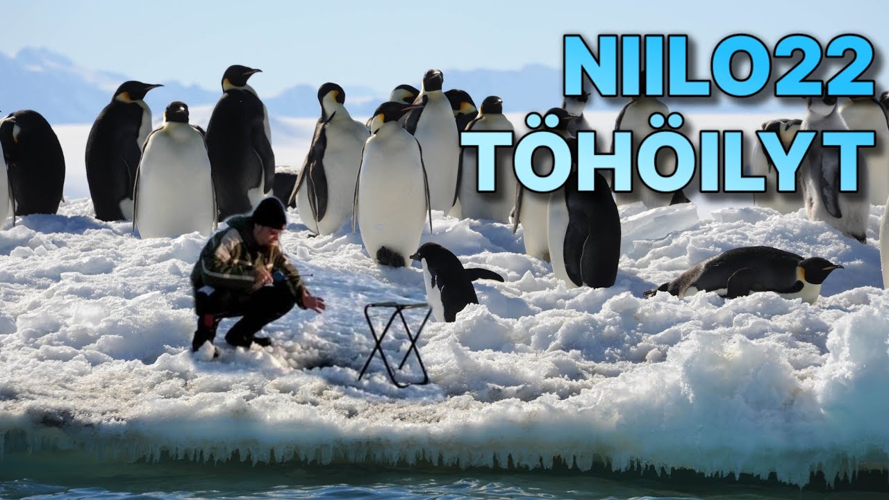 Niilo22 parhaat töhöilyt 5
