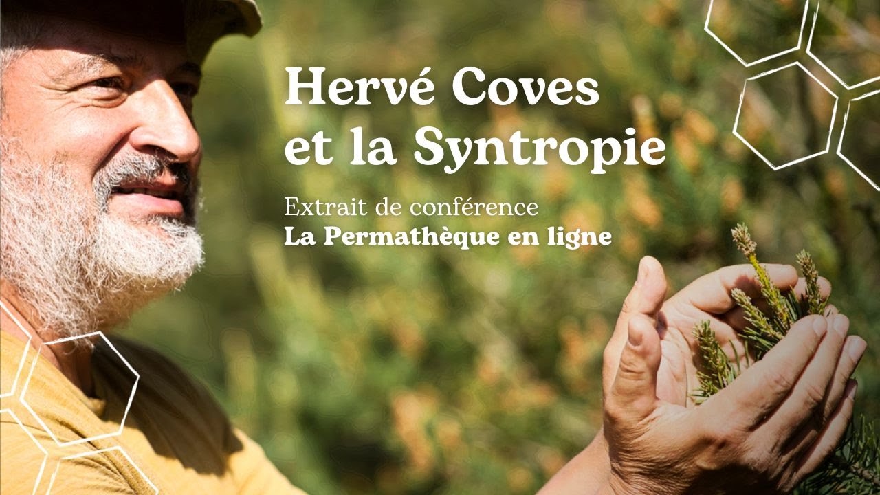 Hervé Coves et la Syntropie