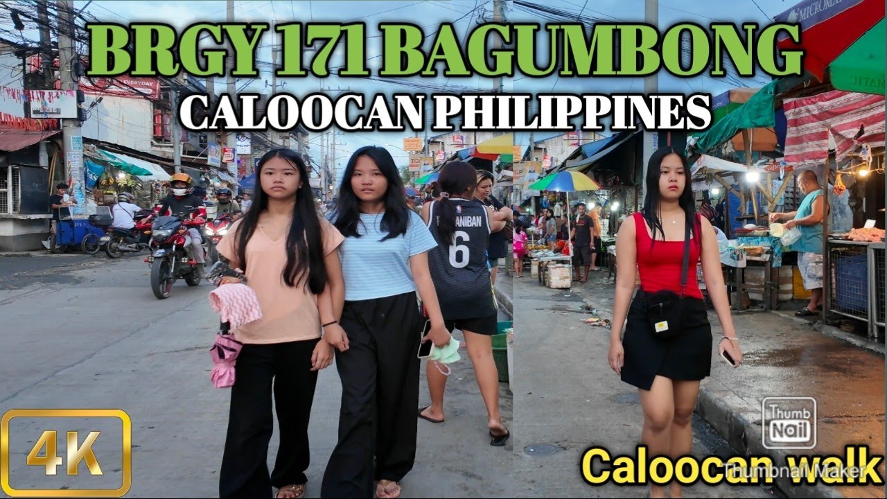 Early Night Scene in Brgy 171 Bagumbong Caloocan City Philippines [4K]