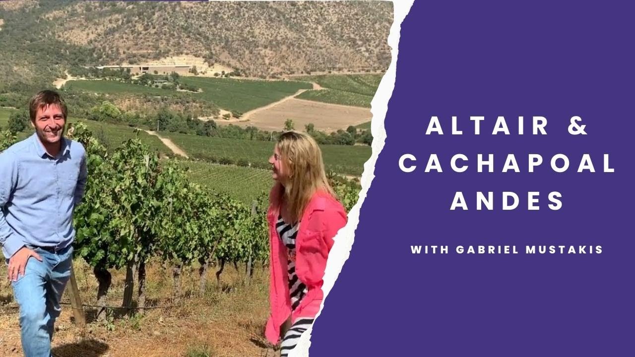 Exploring Altair winery & Cachapoal Andes with winemaker Gabriel Mustakis
