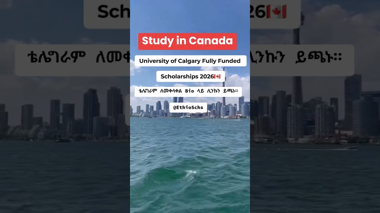 University of Calgary Scholarships 2026 in Canada 🇨🇦 