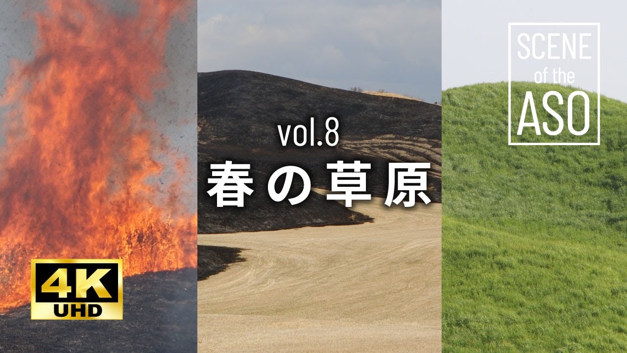 【大自然4K】「春の草原」高画質 癒し映像