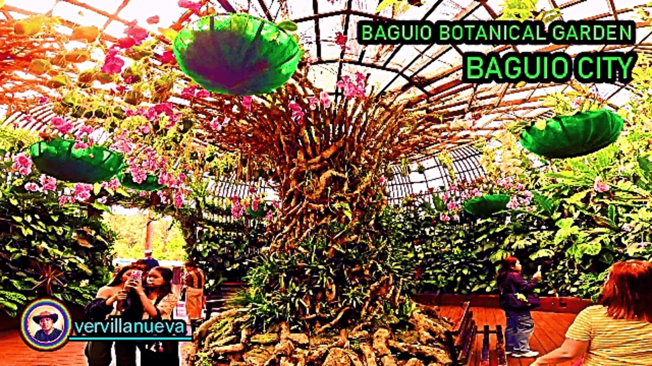 ORCHIDARIUM IN BAGUIO BOTANICAL GARDEN (2026)