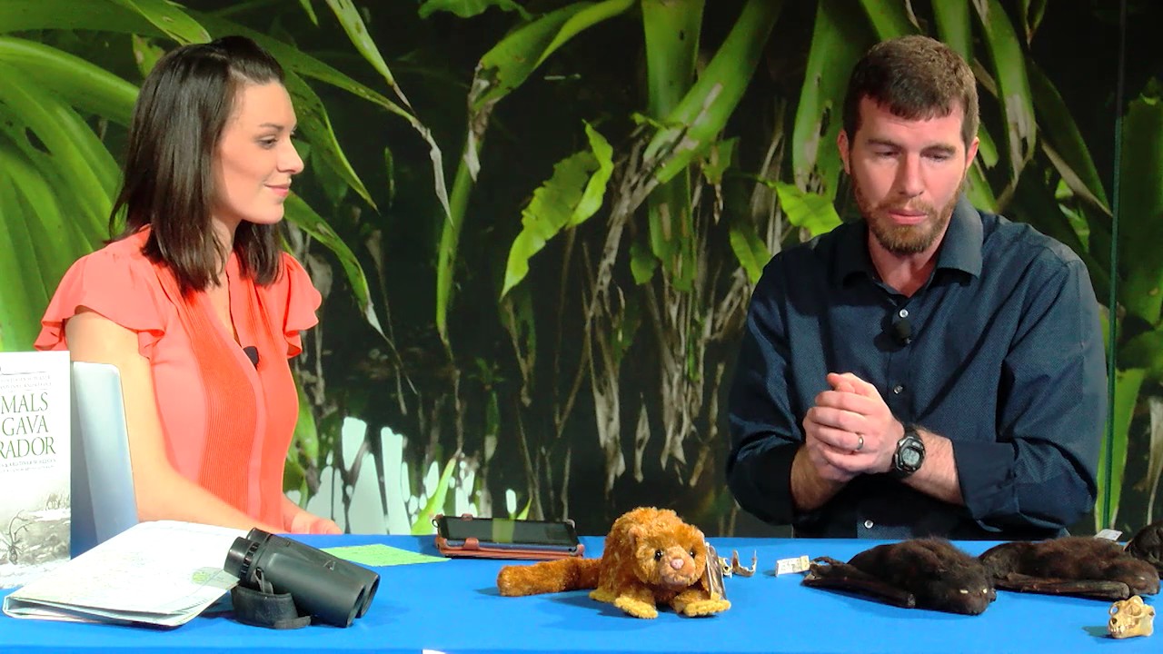 How to Discover a New Mammal Species with Dr. Kris Helgen
