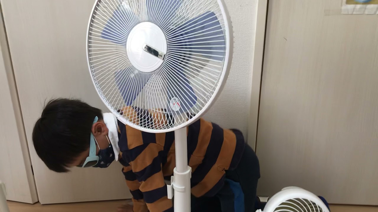 よりの扇風機コレクション　Fan collection 2021