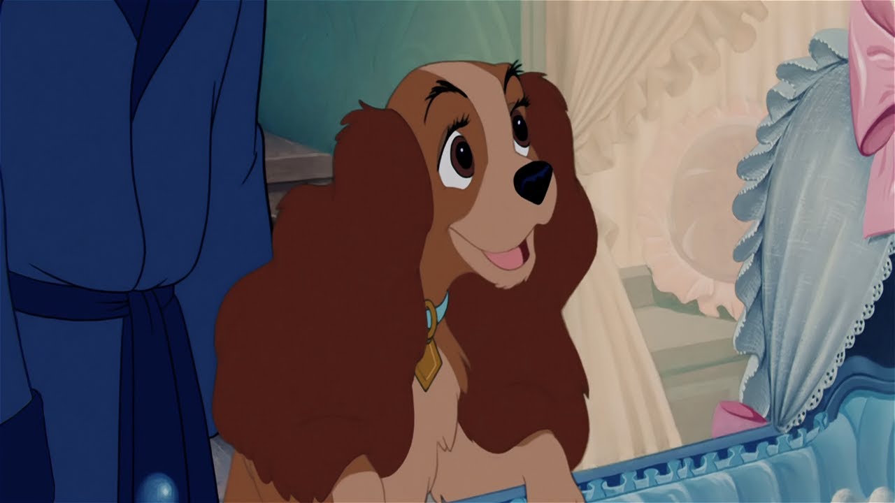 Dogtastic | Lady And The Tramp Remix