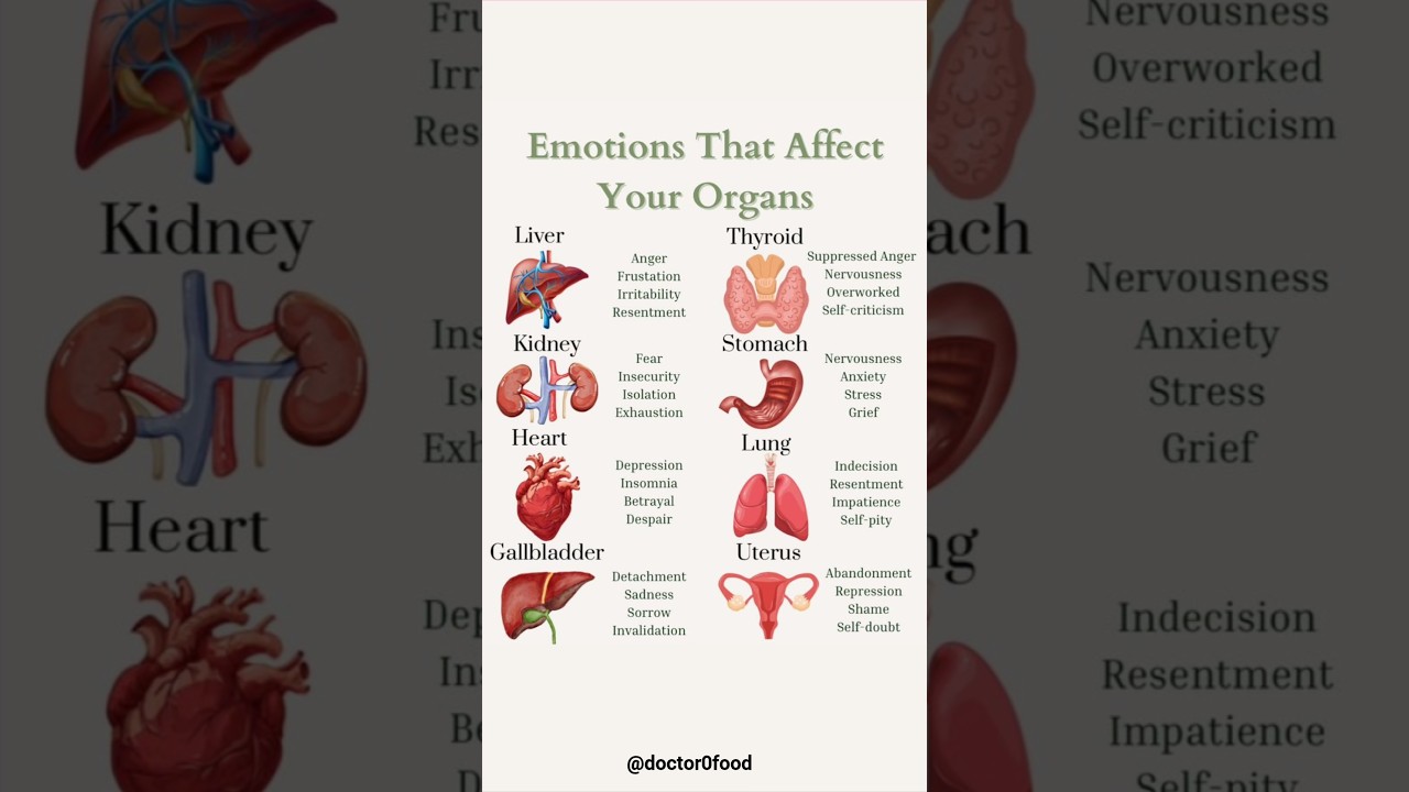 How Emotions Secretly Impact Your Organs | Mind-Body Connection Explained