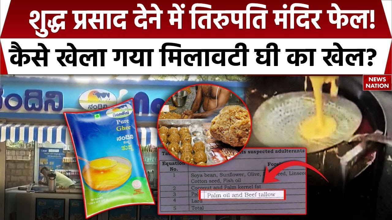Tirupati Ladoo Row: तिरुपति मंदिर में मिलने लगा शुद्ध प्रसाद, मंदिर ट्रस्ट का बयान आस्था का ध्यान