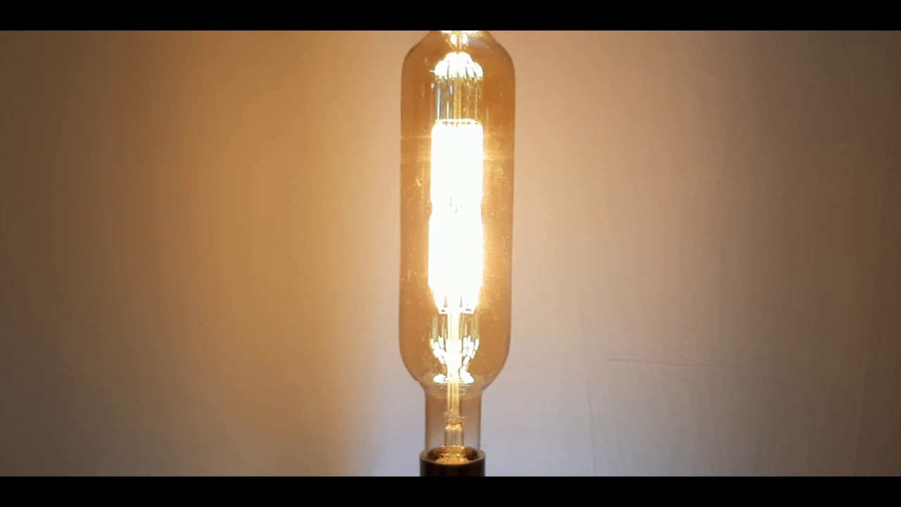 Edison Light Bulb