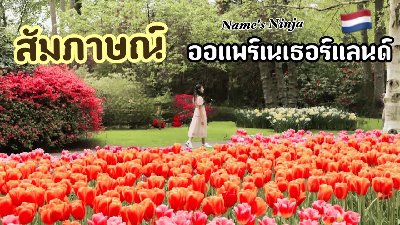 สัมภาษณ์! ออแพร์เนเธอแลนด์🇳🇱🇩🇪🇹🇭|ไม่มีค่าเอเจนท์!!? |การเดินทางชีวิตออแพร์| Name's Ninja