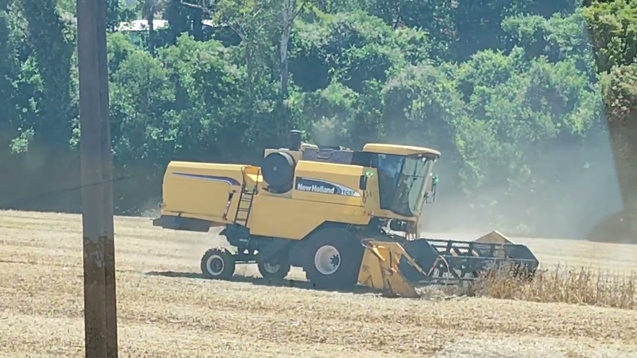 Gurizada estão animados hoje #brutododia #agro #agro #caminhoparaumavidamelhor 