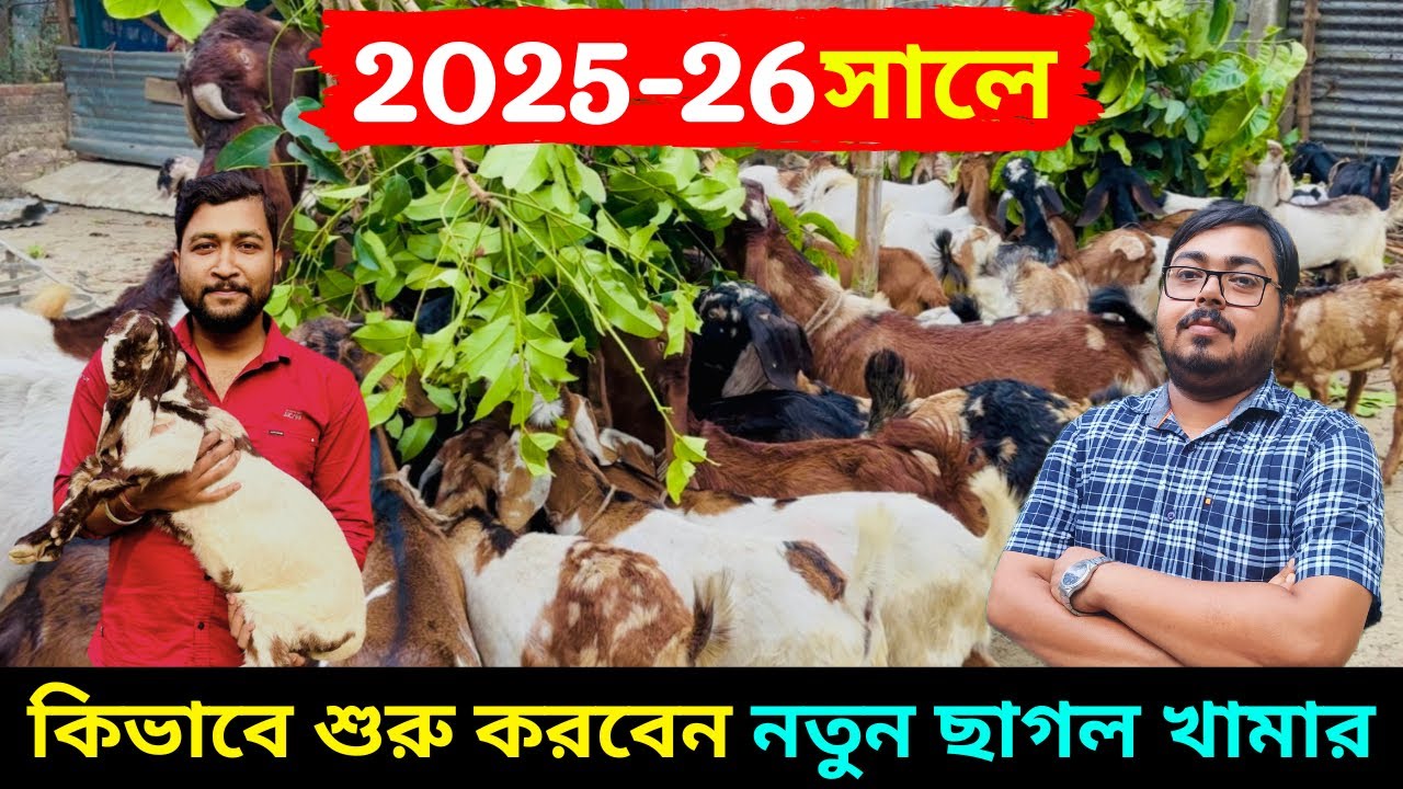 ২০২৫-২৬ সালে কিভাবে শুরু করবেন নতুন ছাগল খামার।Start new goat farm in West Bengal.