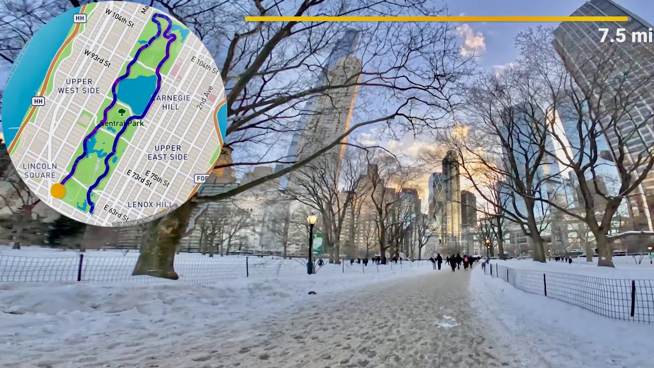 Central Park, Times Square, and streets of NYC after a Snowstorm
