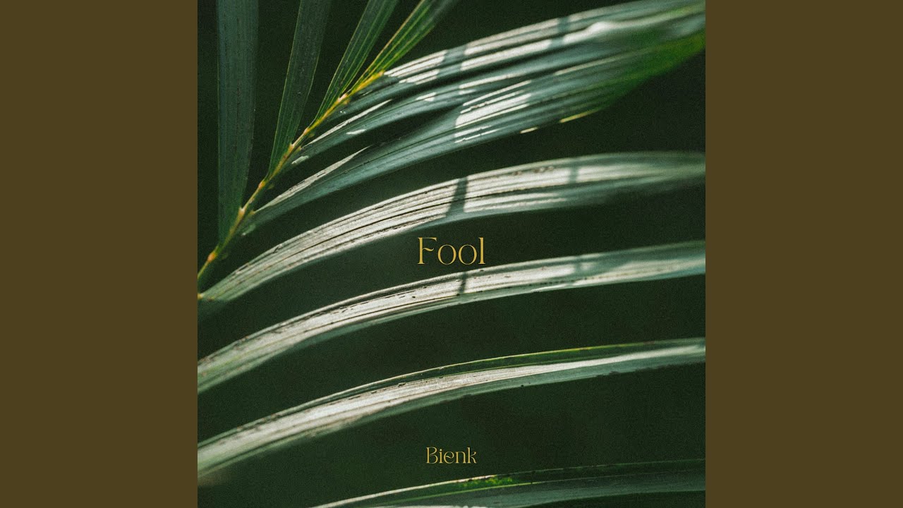 Fool