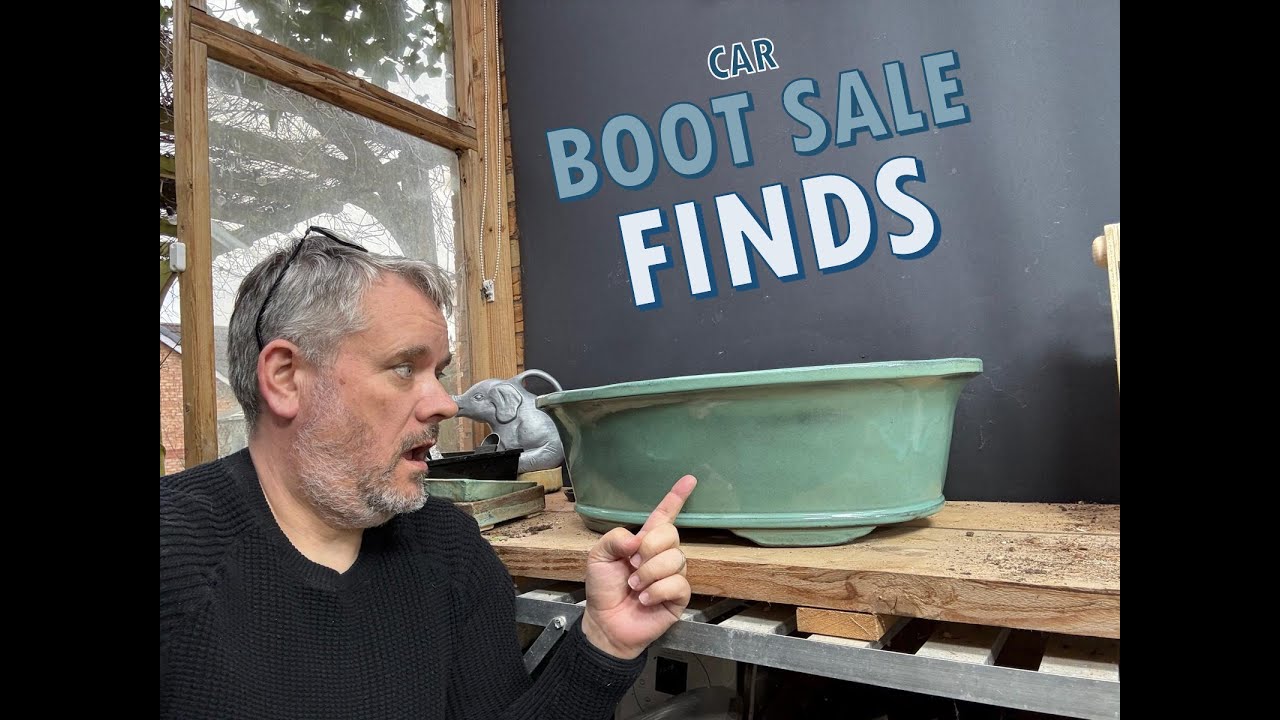 You Won't Believe The Bonsai Tree Deals At The 2025 Market