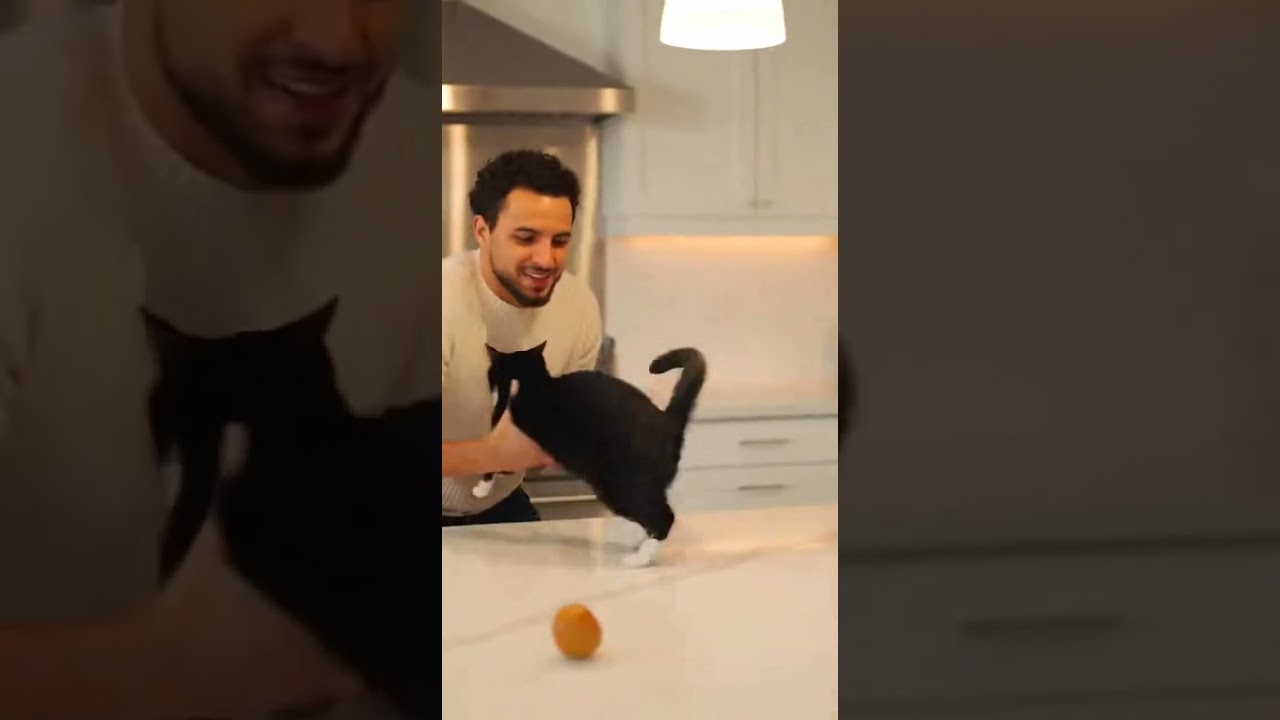 😹 🐈‍⬛ Tuxedo Cat kicks fruit basket running watch this hilarious moment