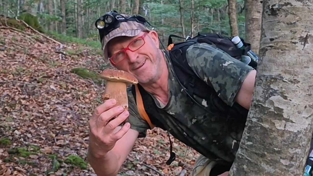 FUNGHI PORCINI 2025 GIORNATA EPICA CON ENRICO...DI NOTTE!!!😅