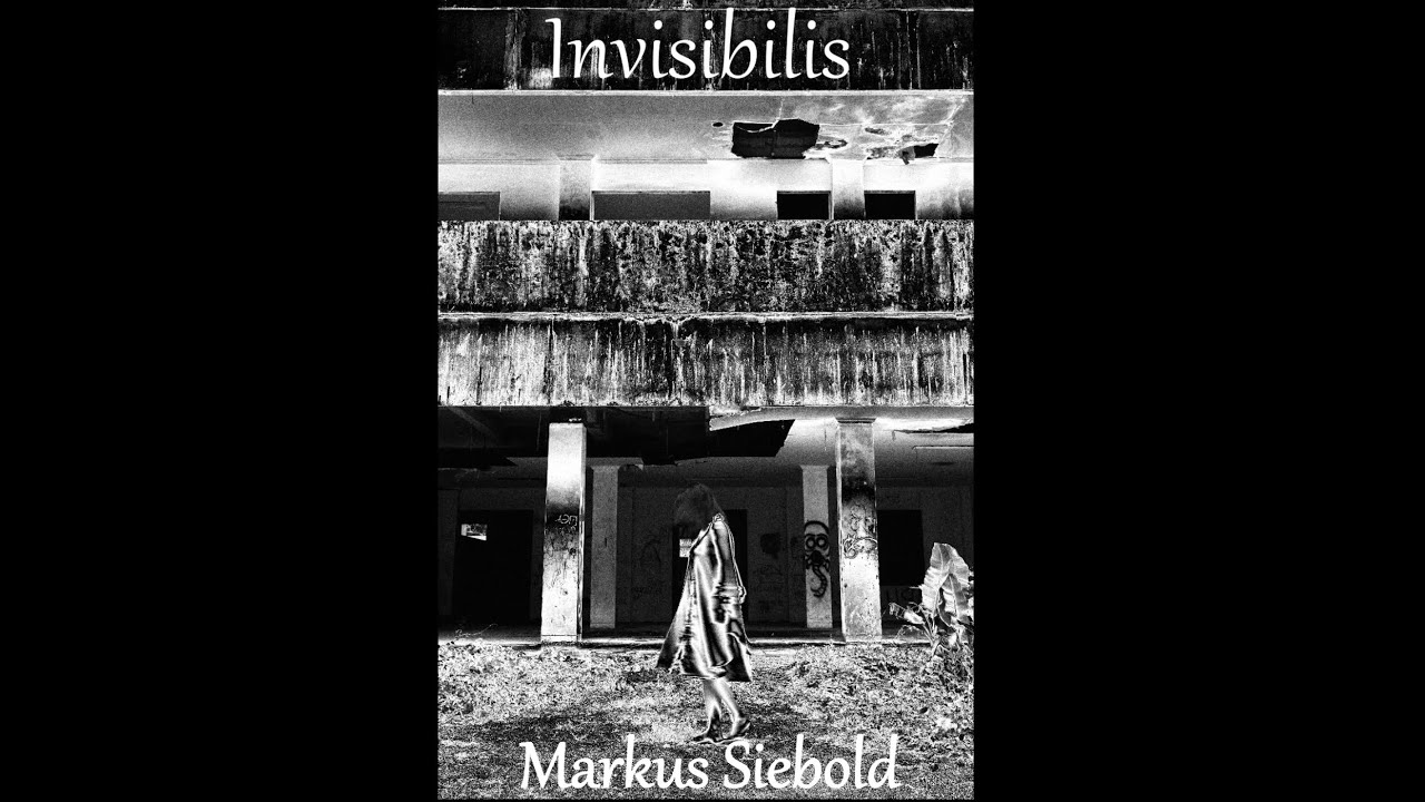 Invisibilis