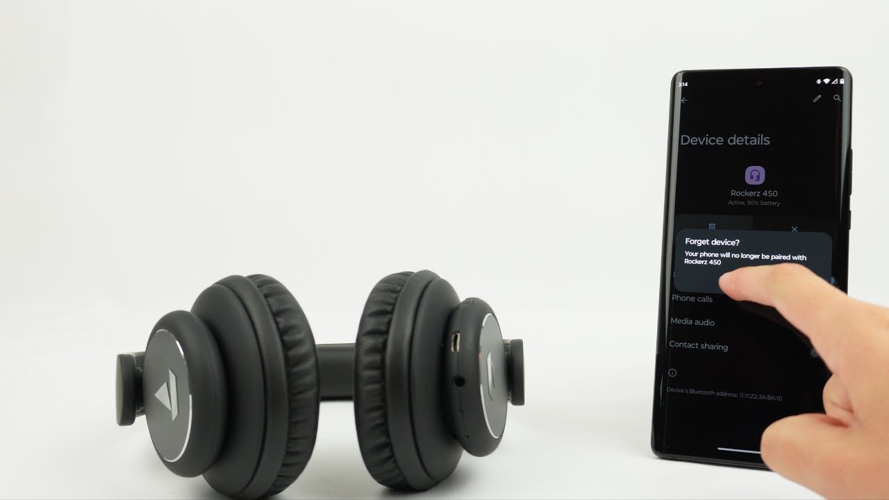 Rockerz 450 - Factory Reset
