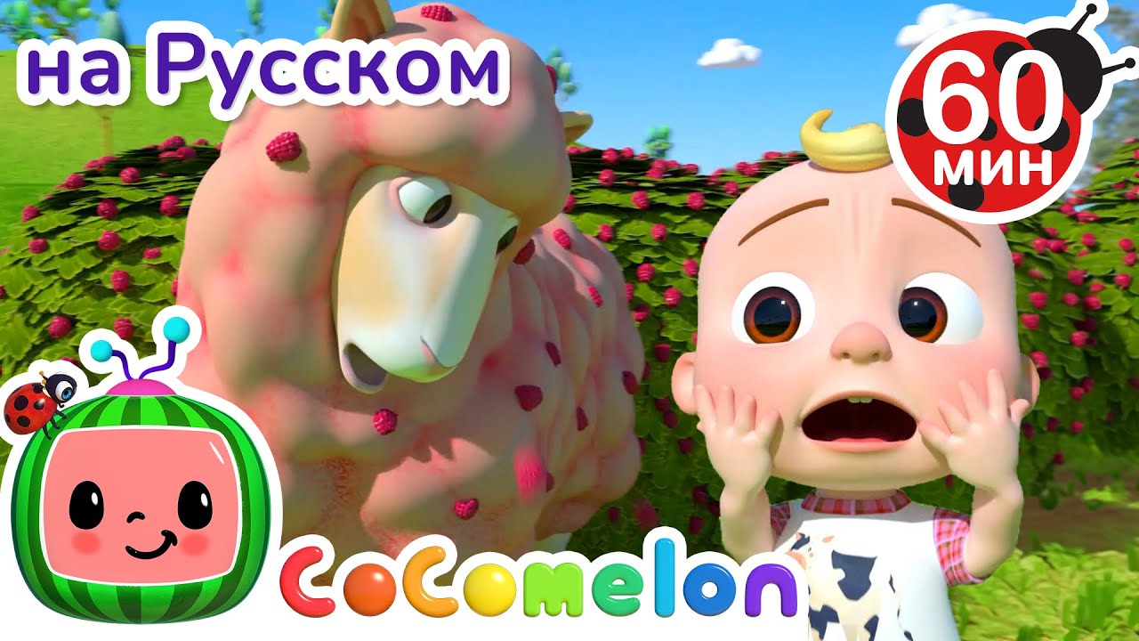 Моя Розовая овечка Baa Baa Black Sheep | Сборник 1 Час | CoComelon на русском — Детские песенки