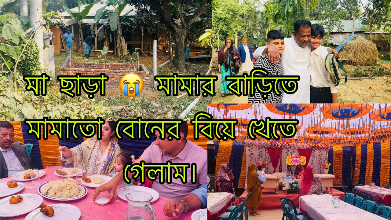 মামাতো বোনের বিয়েতে গেলাম কাপাসিয়া😍🤲#lifestyle 