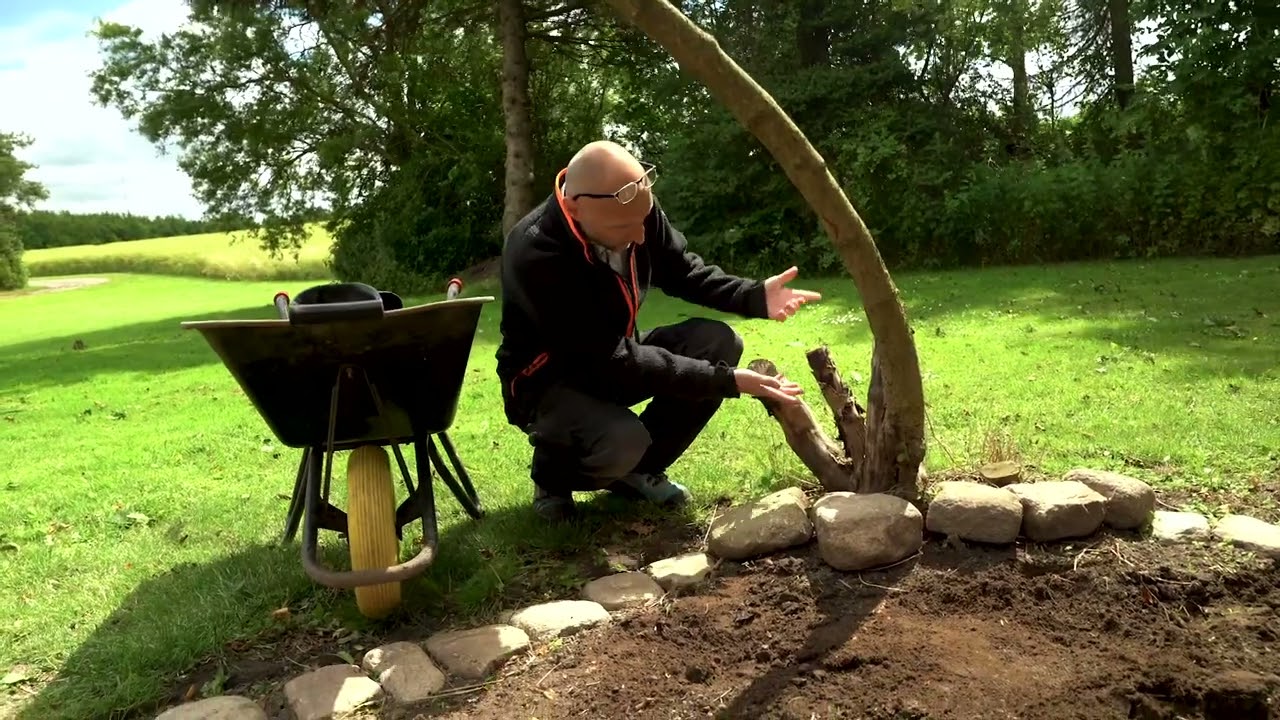 Træflis og dækbark til bede, under hæk og nybeplatning - Bliv klogere her