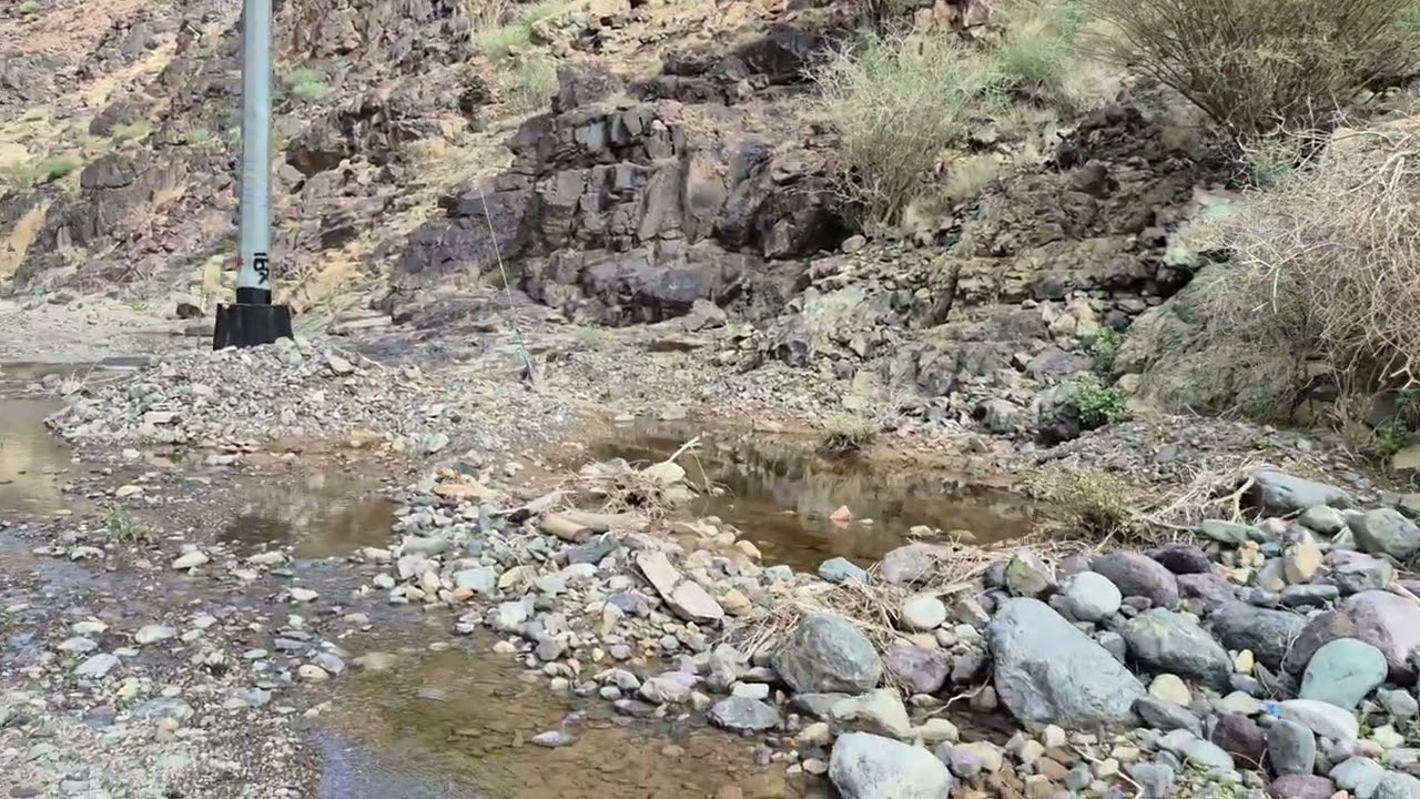 نجل وادي ألاب وادي الصفراء 