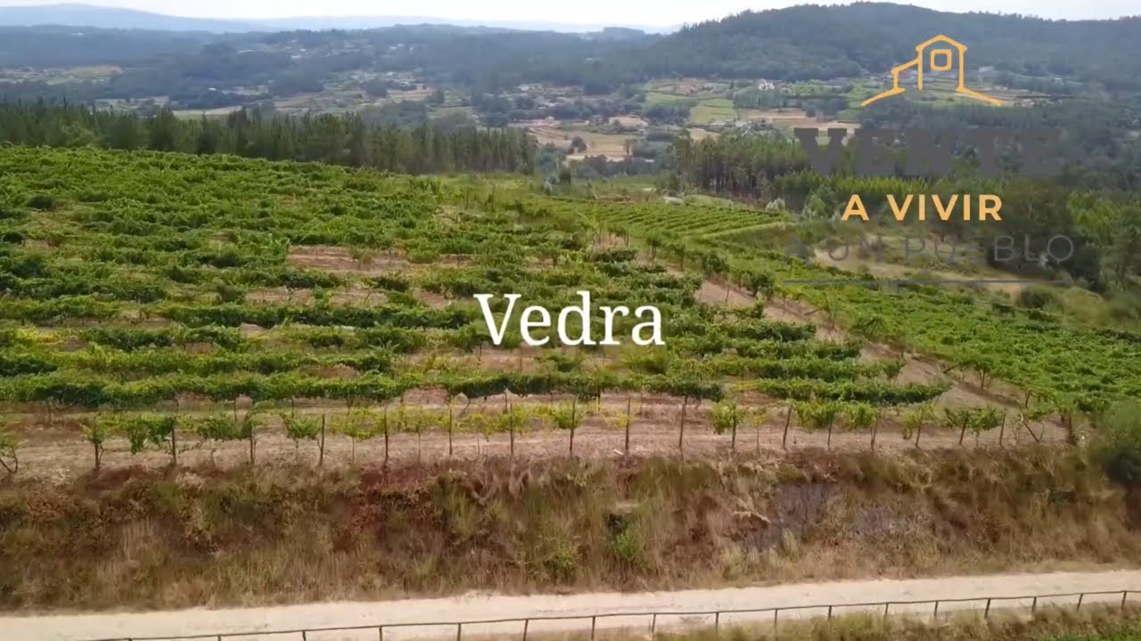 Vedra
