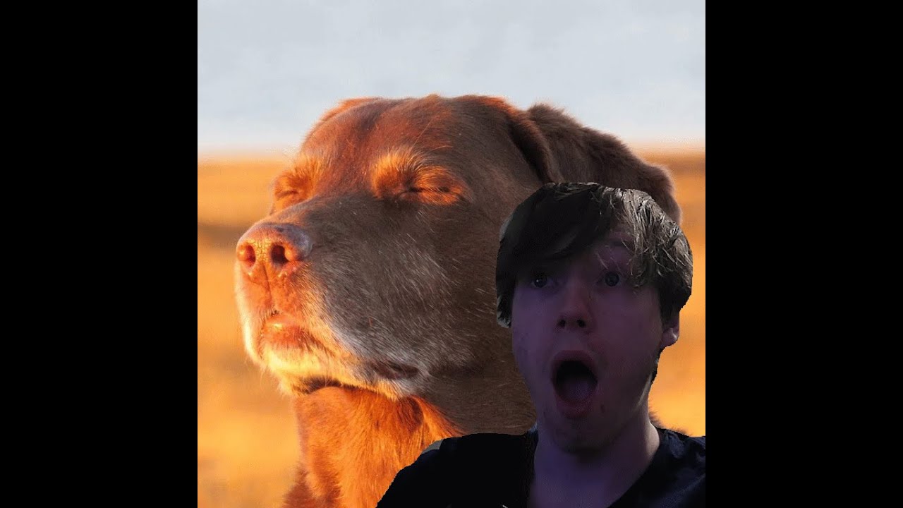 MEMES THAT ARE RETURNING IN AVENGERS DOOMSDAY