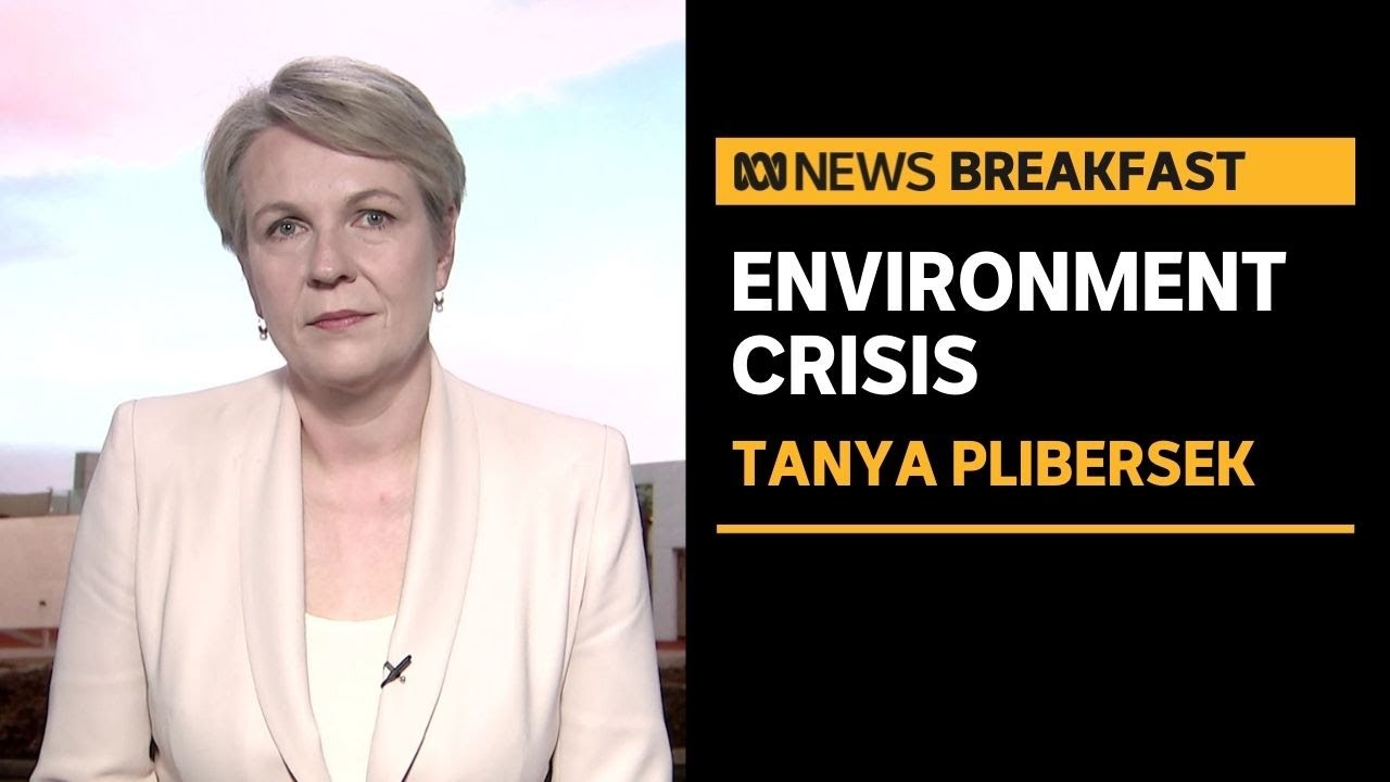 Australia's environment in a 'poor and deteriorating state', according to new report | ABC News