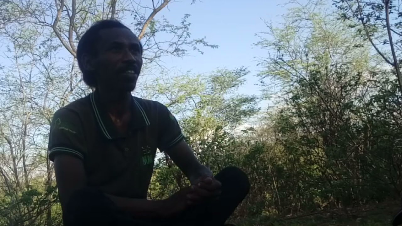 DOCUMENTÁRIO (FAZENDA TUPAN) MIRANDIBA PE