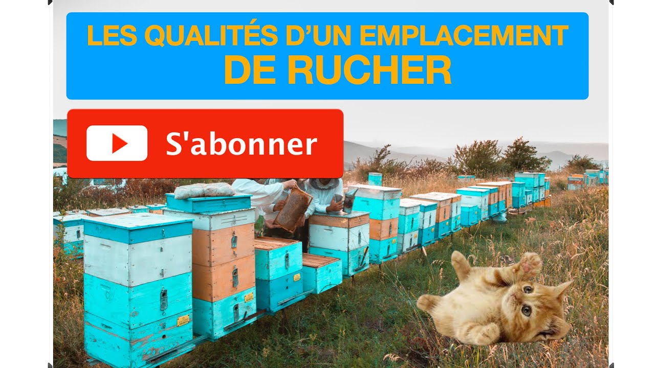Quelles sont les qualités d'un emplacement de rucher ?